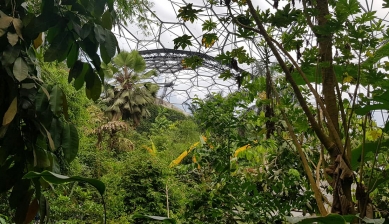 Eden Project - foto: Marie Davidová, 2021