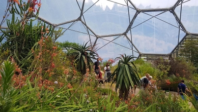 Eden Project - foto: Marie Davidová, 2021