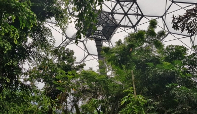 Eden Project - foto: Marie Davidová, 2021