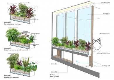 Klinika tradiční mediciny SDP v Hanoji - Lékařská zahrada - detail - foto: ODDO architects