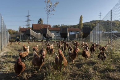 Kuřecí vesnice - ekologická farma - foto: Bosnić+Dorotić