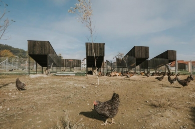 Kuřecí vesnice - ekologická farma - foto: Bosnić+Dorotić