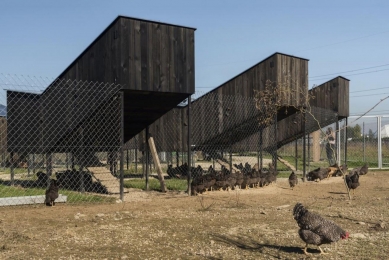 Chickenville - Eco Friendly Poultry Farm - foto: Bosnić+Dorotić
