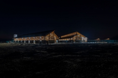 Ecological Farm of Black Slavonian Pigs