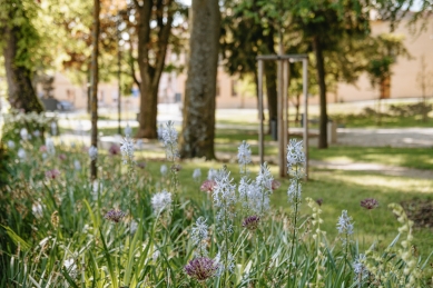 Revitalisation of Stéphanie's Park - foto: MORGUNN