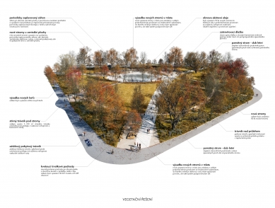 The Moravian Square Park Revitalisation - Schéma vegetace