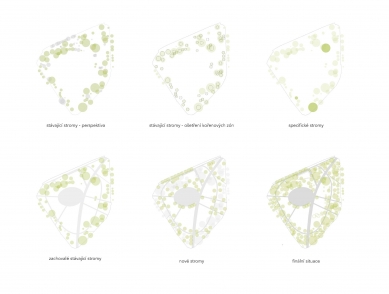 The Moravian Square Park Revitalisation - Schéma - stromy