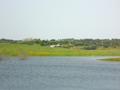 House in Monsaraz - foto: AMA – Aires Mateus