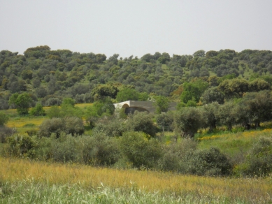 House in Monsaraz - foto: AMA – Aires Mateus