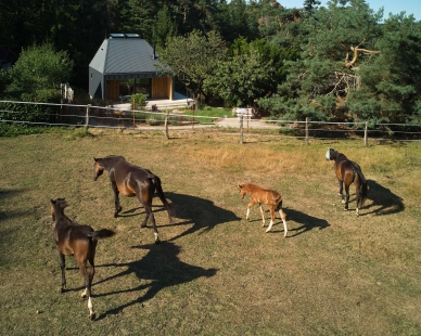 Chata se světlíky - foto: Radek Úlehla