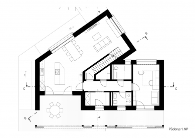 Rozvětvený dům - Půdorys 1NP