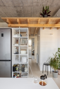 Reconstruction of a loft apartment in the Pink Mill project - foto: Matej Hakár