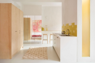 Painter’s Apartment Renovation - foto: Radek Úlehla