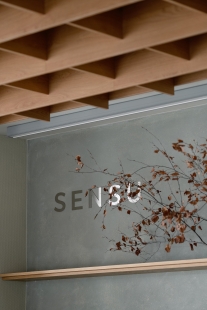Sensu - foto: Alex Shoots Buildings
