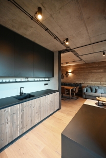 Horské apartmány Wood & Monolit - foto: Vladimír Vašut, under-construction architects