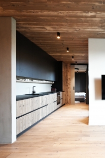 Horské apartmány Wood & Monolit - foto: Vladimír Vašut, under-construction architects