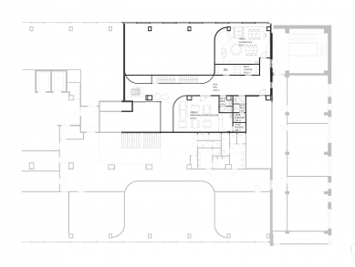 Maple Bear Schools - Brno - ground floor