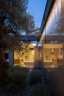 Hillside House - foto: © Ivo Tavares Studio