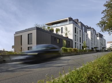 <translatable>Císařská Vinice</translatable> - foto: Filip Šlapal
