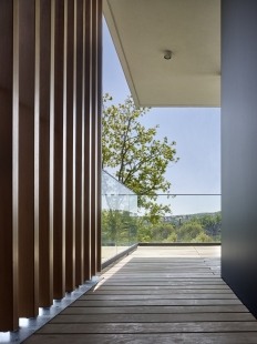 <translatable>Císařská Vinice</translatable> - foto: Filip Šlapal