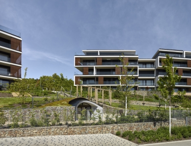<translatable>Císařská Vinice</translatable> - foto: Filip Šlapal