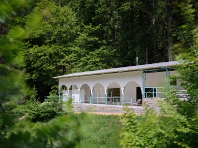 <IPAddress> Forest Swimming Pool </IPAddress> - foto: BoysPlayNice