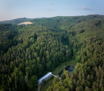 <IPAddress> Forest Swimming Pool </IPAddress> - foto: BoysPlayNice