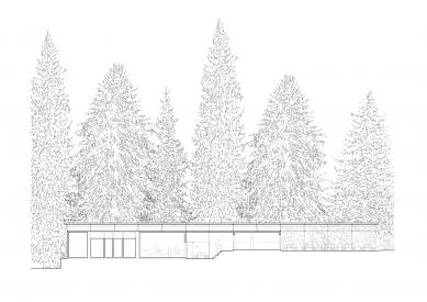 <IPAddress> Forest Swimming Pool </IPAddress> - <trans>Longitudinal section</trans>