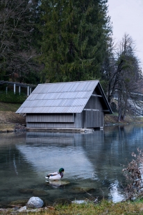 Loděnice Zaka na Bledském jezeře - foto: Miran Kambič