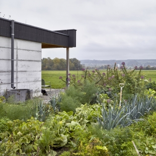 Scholl House - foto: Philip Heckhausen