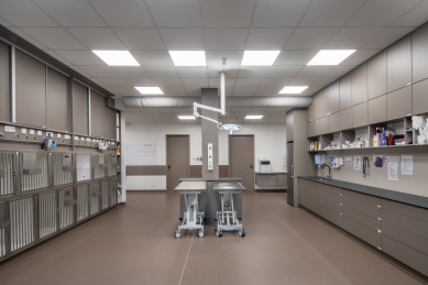 Veterinární klinika ABVET - foto: Lukáš Žentel