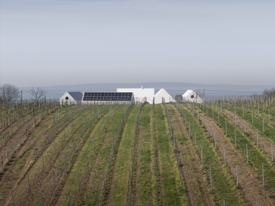 Vinárstvo S - foto: Matej Hakár