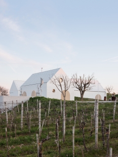 Vinárstvo S - foto: Matej Hakár