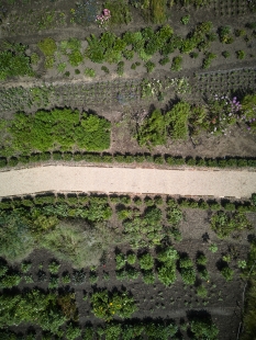 Kraffer's Garden - foto: Radek Úlehla