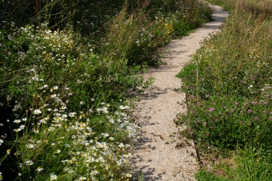 Brewery Terraces - foto: Tomáš Rasl