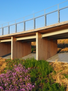 Grand Ring - foto: Osaka Expo 2025