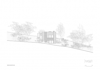 Frame House - West view - foto: Pedro Domingos, Arquitectos