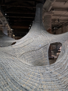 Necto - foto: Petr Šmídek, 2025