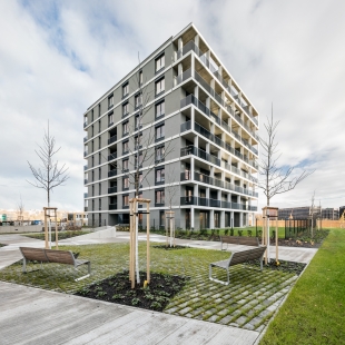 Bytové domy Riviéra Karlín - foto: Tomáš Mach, archiv dodavatele