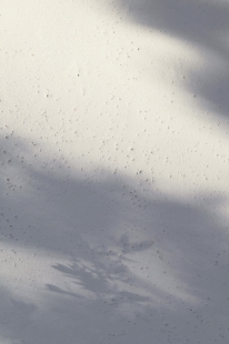 Dom v Dolnej Lehote - foto: Tomáš Krištek