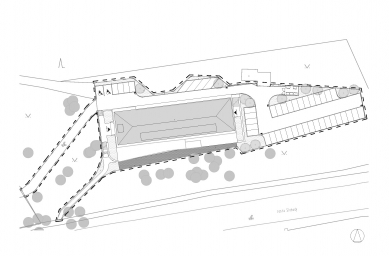 Lebenski - Situation