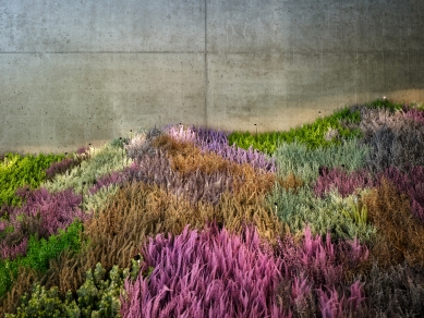 Mulligan - foto: BoysPlayNice