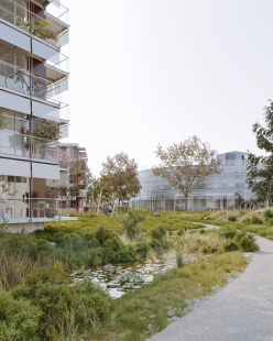 Křižanova sawmill - winning project - Visualisation - foto: Agustín Piña