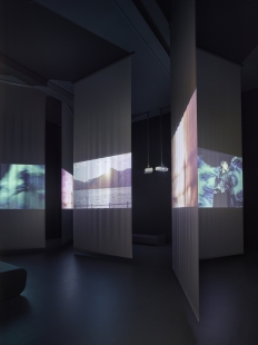 Výstava Doteky: Liběna Rochová - foto: Filip Šlapal