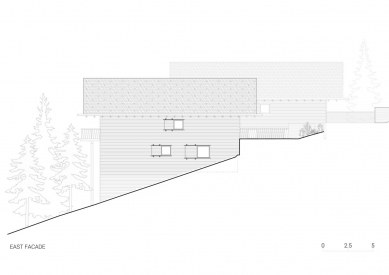 Twin alpine houses - Eastern view - foto: Dekleva Gregorič arhitekti