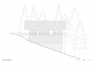 Twin alpine houses - Western view - foto: Dekleva Gregorič arhitekti