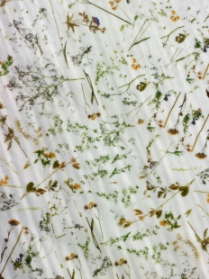 Domov seniorů v Novém Bydžově - foto: Filip Šlapal