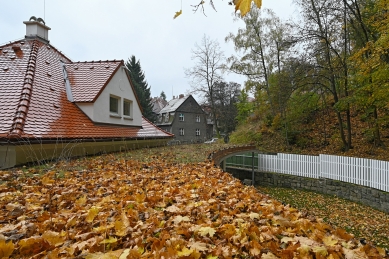 Vilka v Liebieg's town - foto: Petr Šmídek, 2025