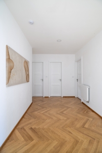 Reconstruction and extension of a terraced house in Brno - foto: Jakub Hanžl
