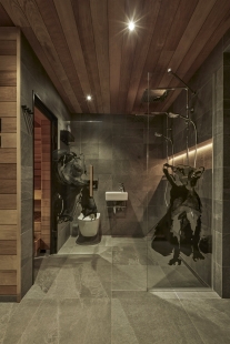 KOTINI - foto: Peter Fabo